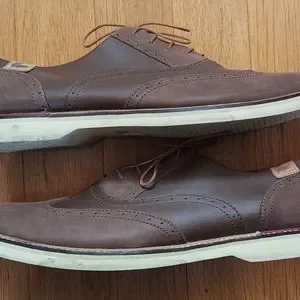 Lacoste | Shoes | Lacoste Sherbrooke Brogue 2 Mens Brown  display picture 1